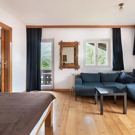 ソンホフ ホテル バート・イシュル