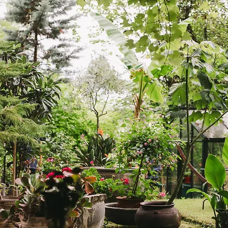 ホテル ソンホフ バート・イシュル