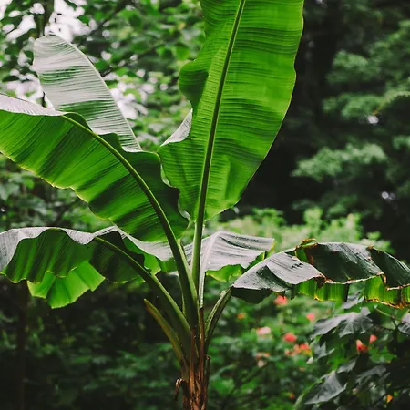 索恩霍夫酒店 3*