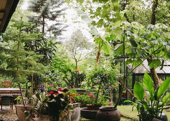 酒店 索恩霍夫酒店 巴德伊舍