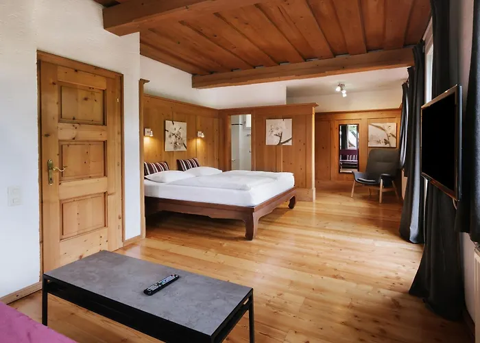 酒店 索恩霍夫酒店 3*